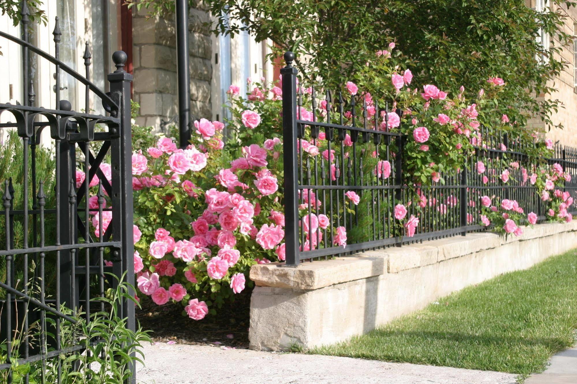 Nagle Warren Mansion B&B Cheyenne Bagian luar foto